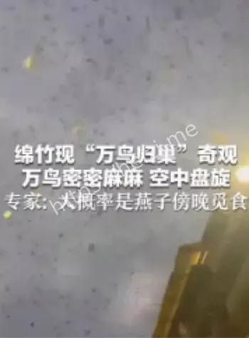 四川万鸟归巢奇观