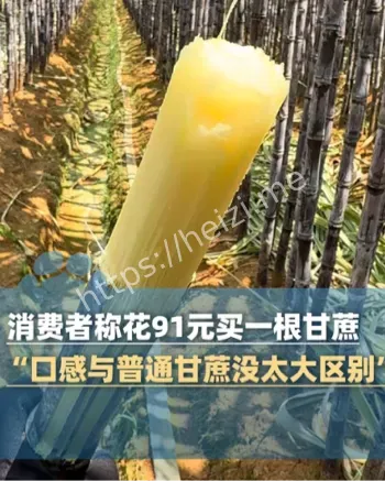上海91元甘蔗事件