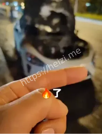 小米SU7高速爆胎起火